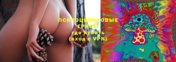 МДМА Богданович