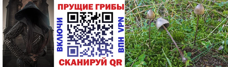 Галлюциногенные грибы прущие грибы  Купить где  Майский 