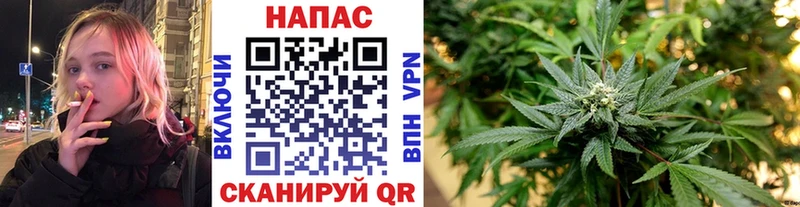 Шишки марихуана SATIVA & INDICA  Купить закладки  Майский 